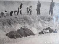 Cavando sepulturas en la Guerra Civil